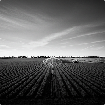 agriculture